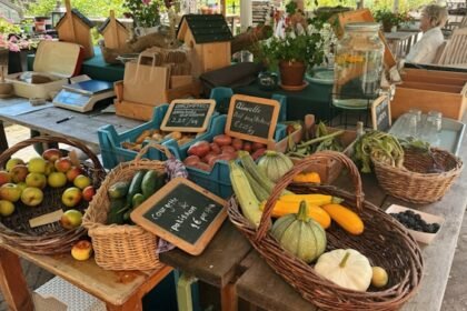 organic meal plan detox