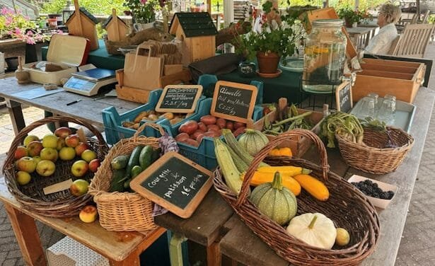 organic meal plan detox