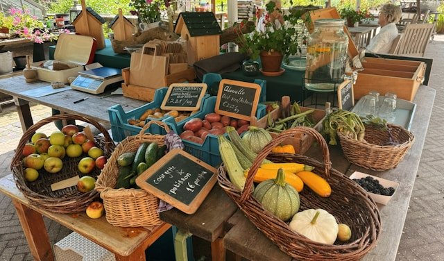 organic meal plan detox