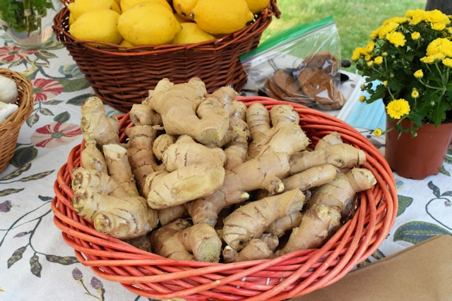 7 Ginger Benefits, Uses, Tea Recipe, and How to Grow Ginger at Home 3 Ginger