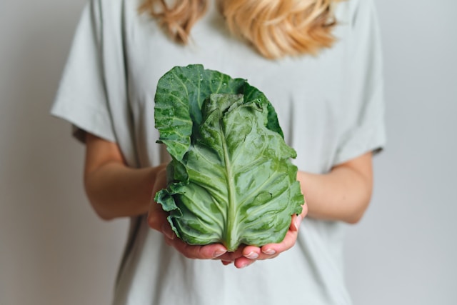organic nutrition for beginners
